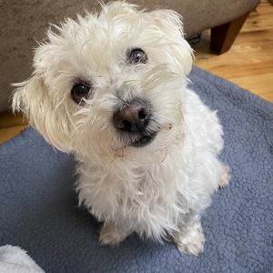 Fundraising Page: Kady Dudley